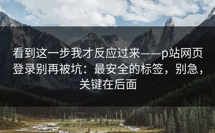 看到这一步我才反应过来——p站网页登录别再被坑：最安全的标签，别急，关键在后面