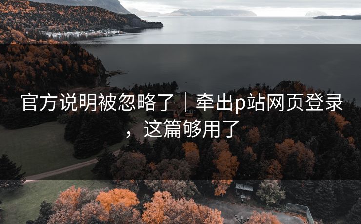官方说明被忽略了｜牵出p站网页登录，这篇够用了