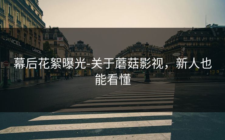 幕后花絮曝光-关于蘑菇影视，新人也能看懂