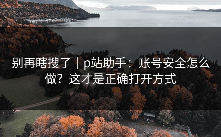 别再瞎搜了｜p站助手：账号安全怎么做？这才是正确打开方式