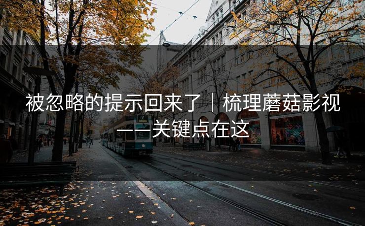 被忽略的提示回来了|梳理蘑菇影视——关键点在这 被忽略的提示回来了|梳理蘑菇影视——关键点在这