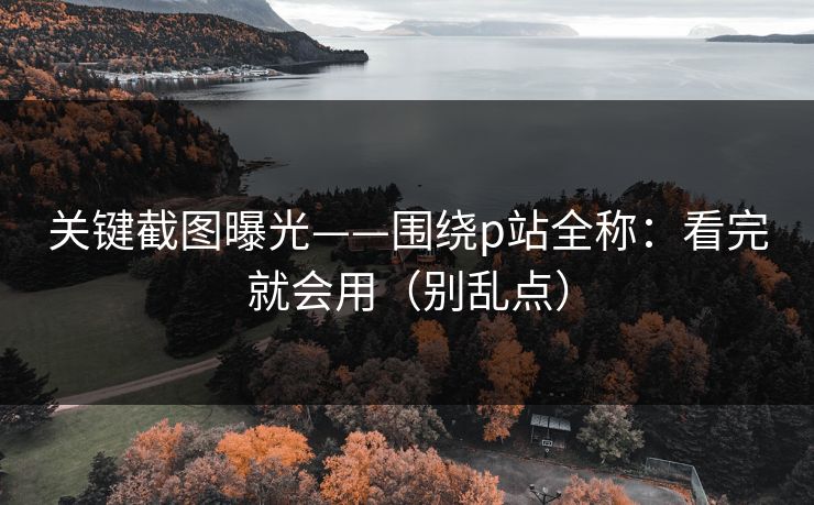 关键截图曝光——围绕p站全称:看完就会用(别乱点) 关键截图曝光——围绕p站全称:看完就会用(别乱点)