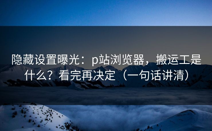 隐藏设置曝光：p站浏览器，搬运工是什么？看完再决定（一句话讲清）