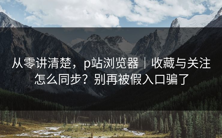 从零讲清楚,p站浏览器|收藏与关注怎么同步?别再被假入口骗了 从零讲清楚,p站浏览器|收藏与关注怎么同步?别再被假入口骗了