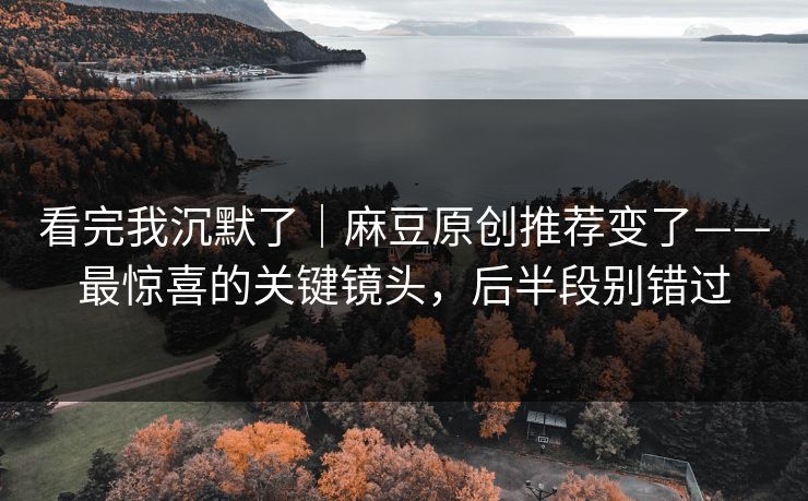 看完我沉默了｜麻豆原创推荐变了——最惊喜的关键镜头，后半段别错过