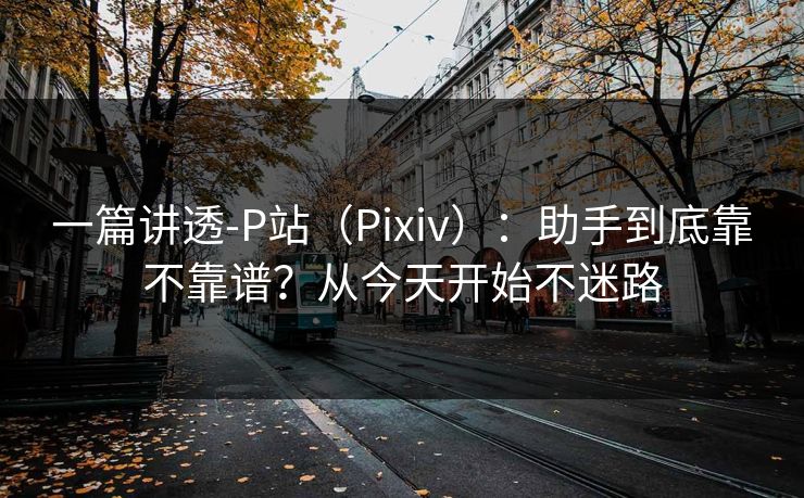 一篇讲透-P站（Pixiv）：助手到底靠不靠谱？从今天开始不迷路