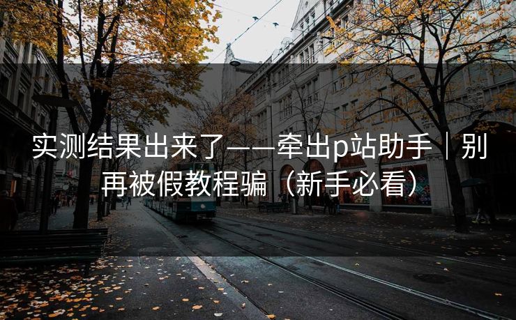 实测结果出来了——牵出p站助手|别再被假教程骗(新手必看) 实测结果出来了——牵出p站助手|别再被假教程骗(新手必看)